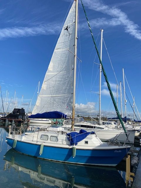 Puella Westerly Centaur